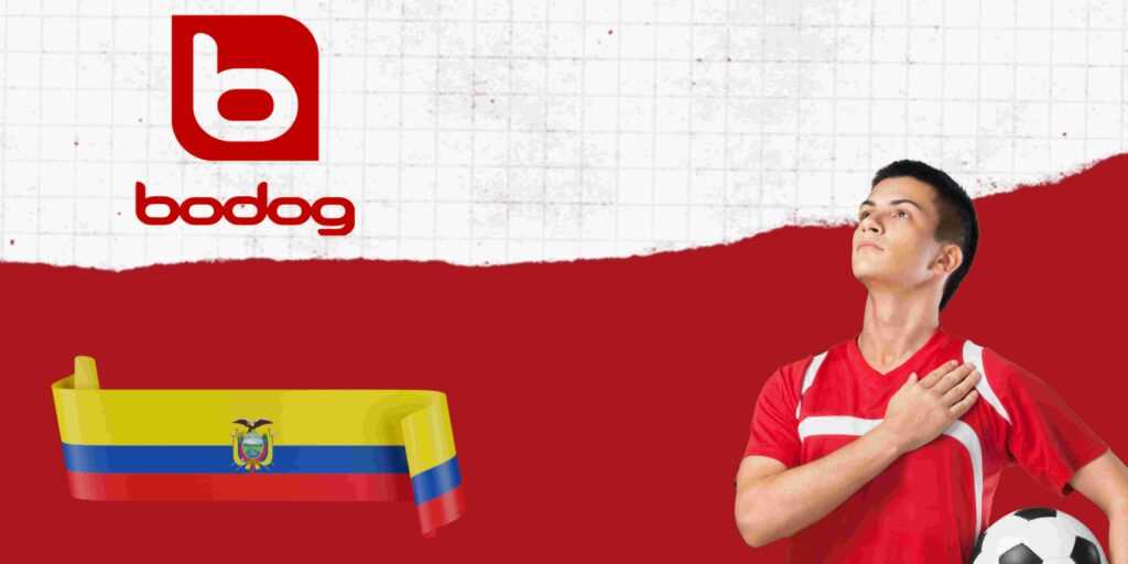 bodog ecuador