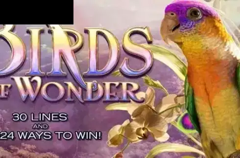 Birds of Wonder