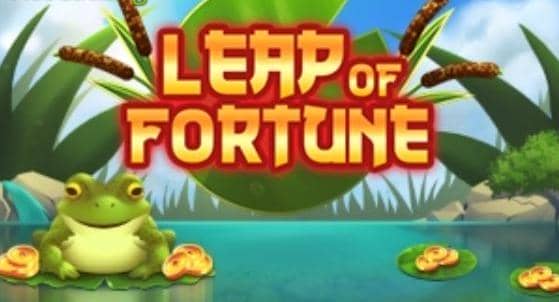 Leap Of Fortune
