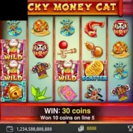 Lucky Money Cat