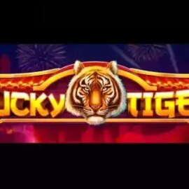 Lucky Tiger (Rocksalt Interactive)