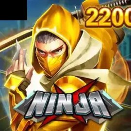 Ninja X