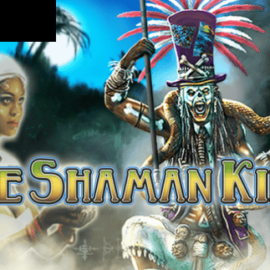 The Shaman King
