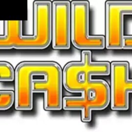 Wild Cash (Magic Dreams)
